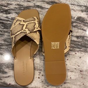 NWT Everlane croc flat sandals